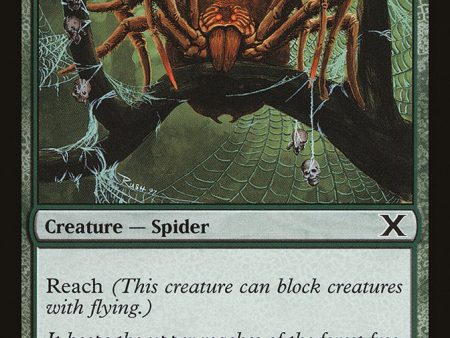 Canopy Spider [Tenth Edition] Supply