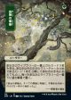 Adventurous Impulse (Japanese) [Strixhaven Mystical Archive] Discount