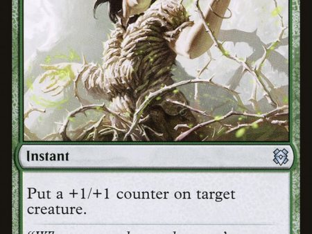 Vastwood Fortification    Vastwood Thicket [Zendikar Rising] Sale