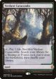 Verdant Catacombs [Zendikar Rising Expeditions] Hot on Sale