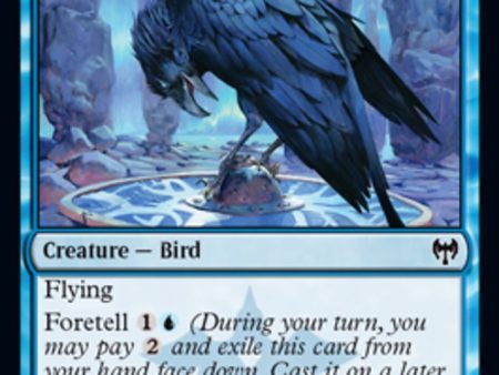 Augury Raven [Kaldheim] For Discount