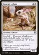 Canyon Jerboa [Zendikar Rising] Online now